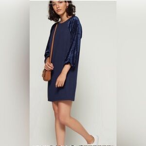 GAP Blue Velvet Sleeve Knit Dress